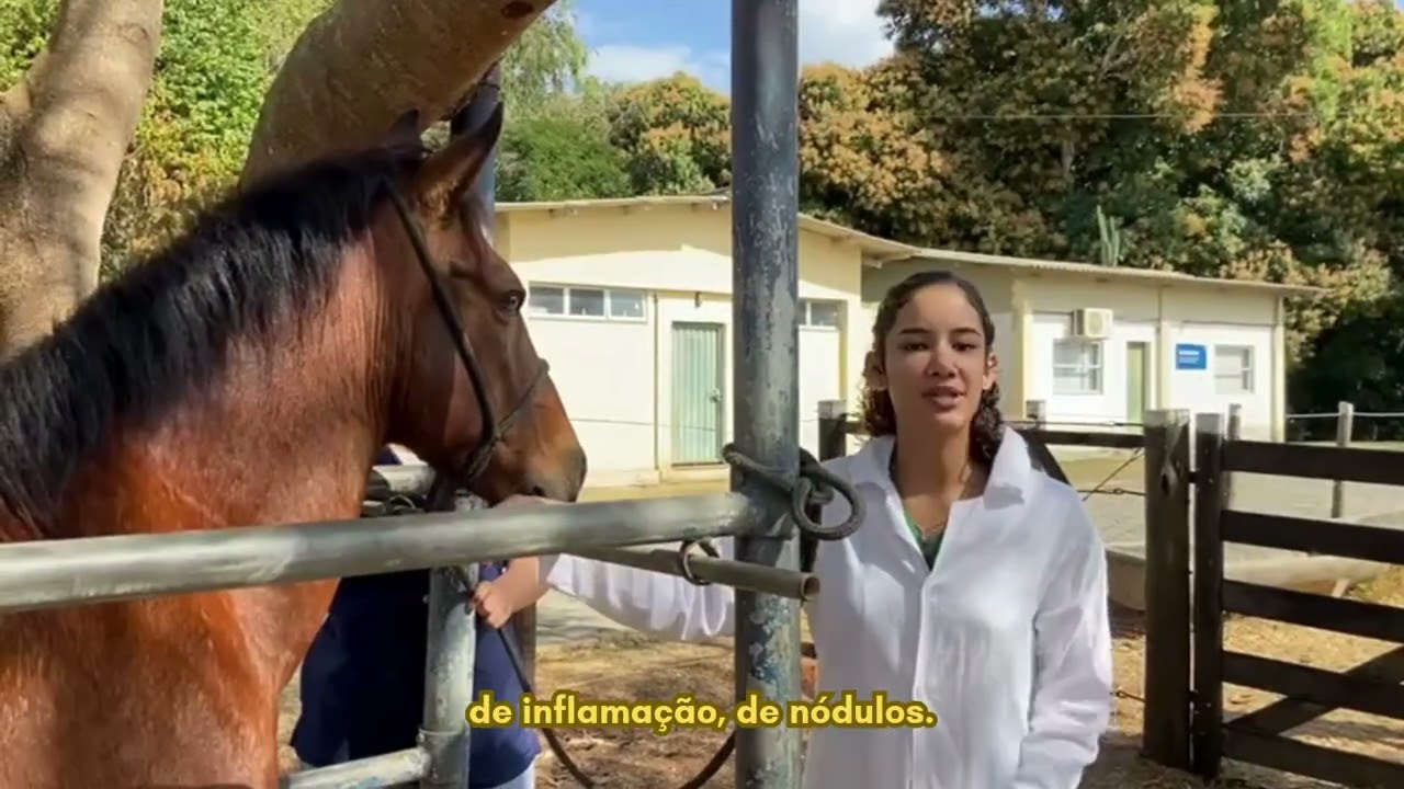 Semiologia - Sistema digestorio de equinos