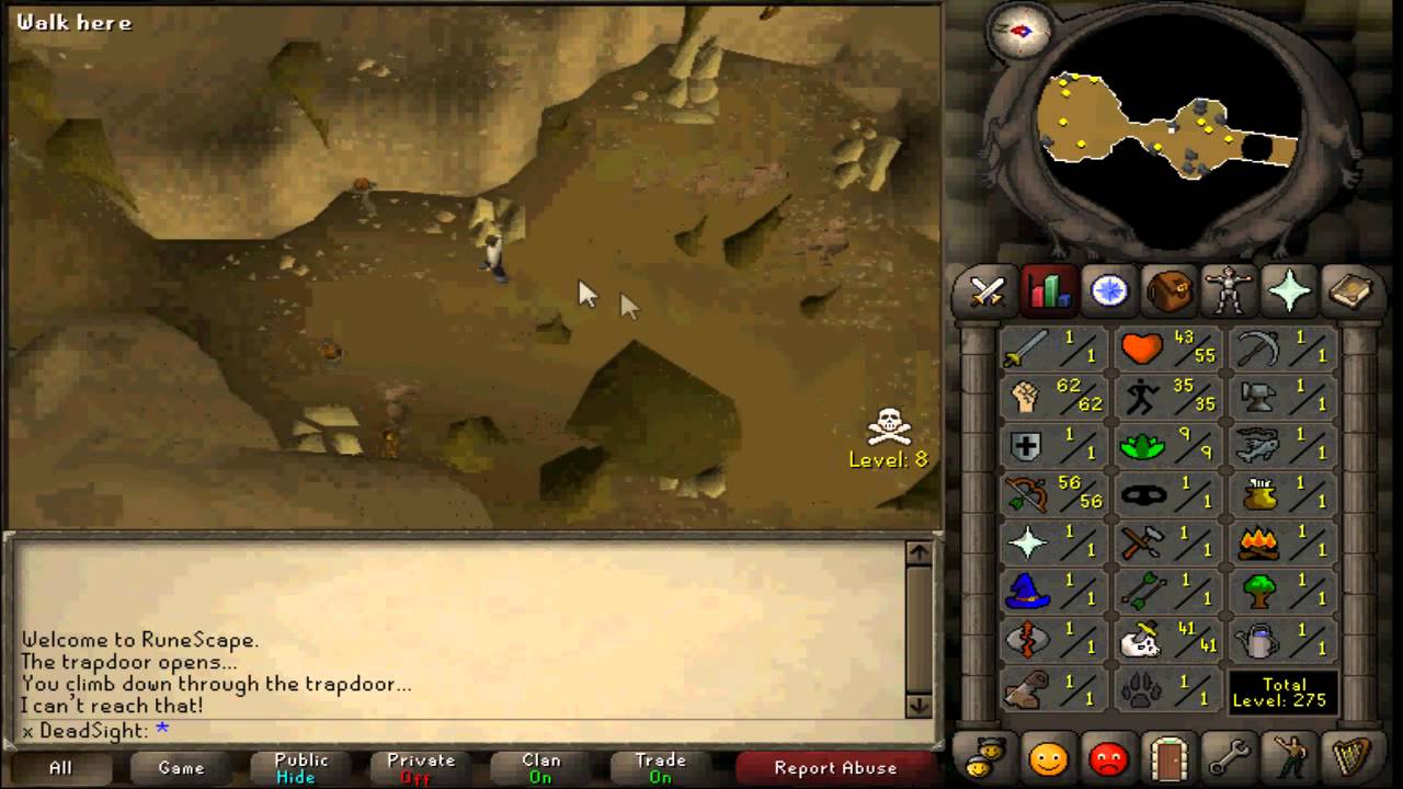 RS07 - Fastest 1-35 Agility Guide - x DeadSight