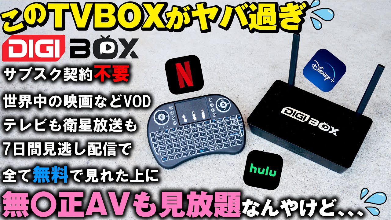 契約不要！ネットに繋げるだけで世界中のテレビや映画が永久無料で見放題！？【DIGIBOX D3 PLUS TVボックス】Netflix ディズニー AV 有料放送 衛星放送 過去７日間見逃し配信
