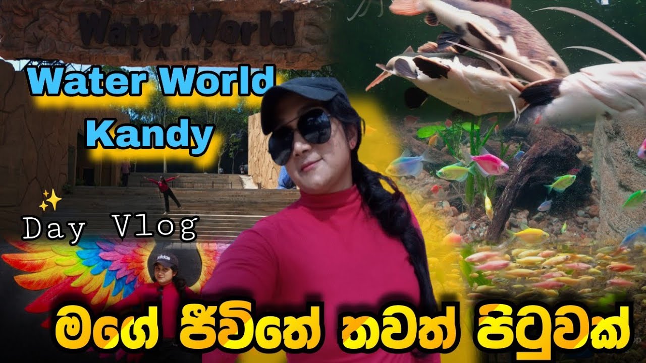 මගේ ජීවිතේ තවත් එක පිටුවක් ✨ #waterworld kandy 🐠 මාළුවෝ බැලුවා / #dayinmylife #dayvlog #vlog #vlogs 