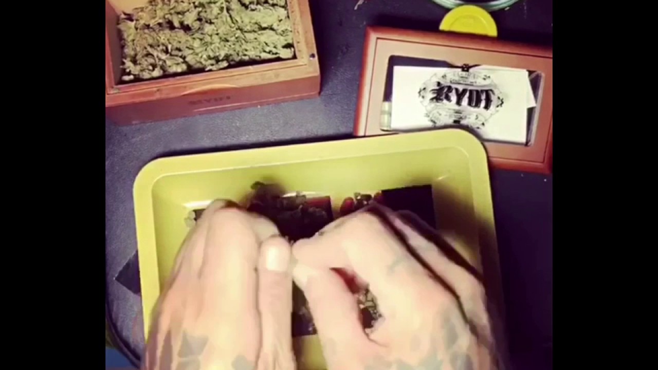 DabHedTV minute movie #1