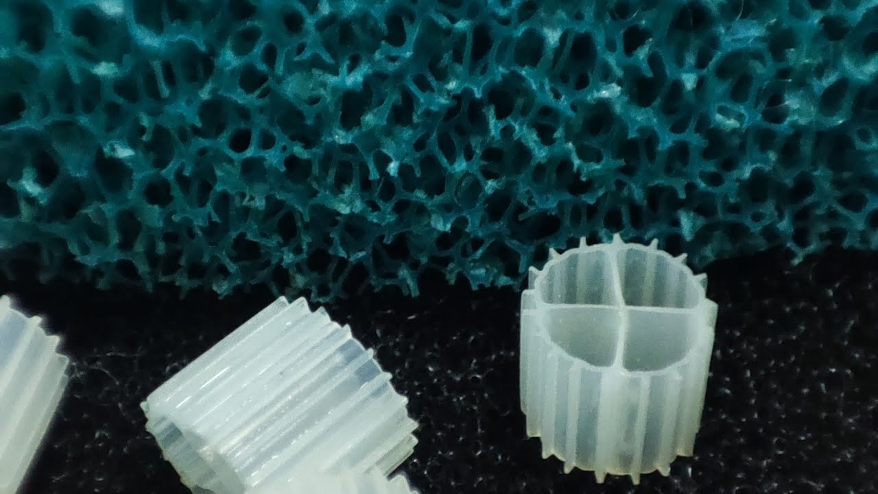 Filtración en un acuario Tanganica. Lecho fluído. Filtración biológica.