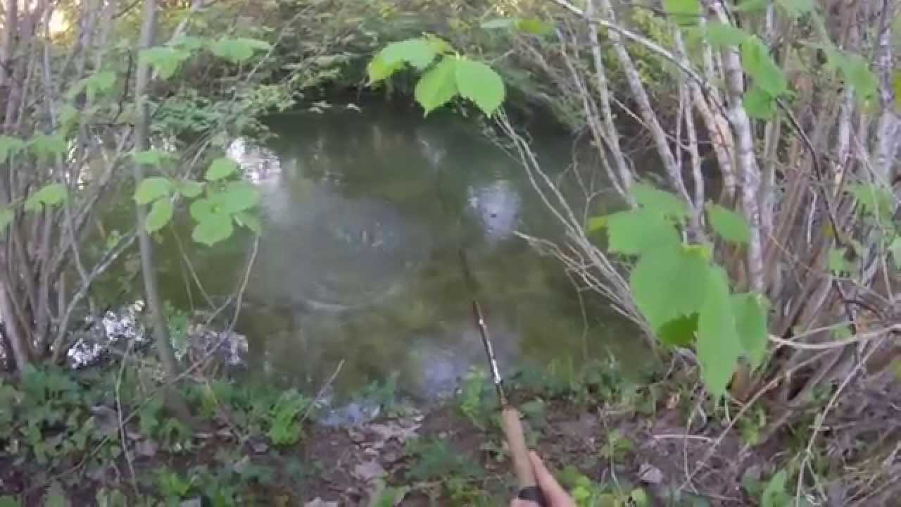 P&ecirc;che de la perche en NoKill - GoPro HD