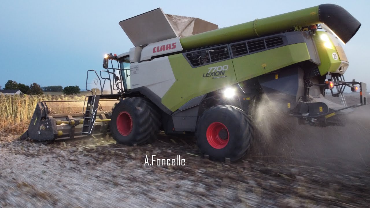 🌻Tournesols versés: LEXION 7700 | cueilleur 12 rangs OLIMAC - ETA BODEZ
