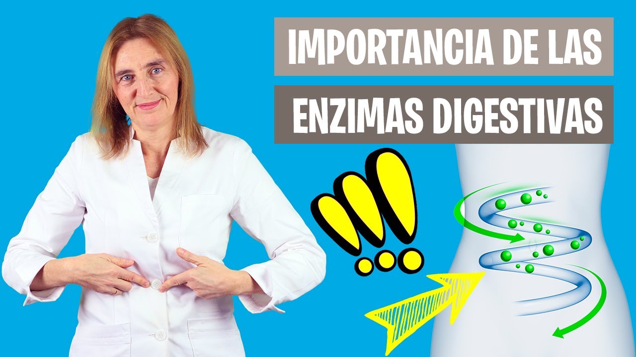 PARA QUÉ SIRVEN las ENZIMAS DIGESTIVAS | Importancia de las enzimas digestivas | Nutrición clínica