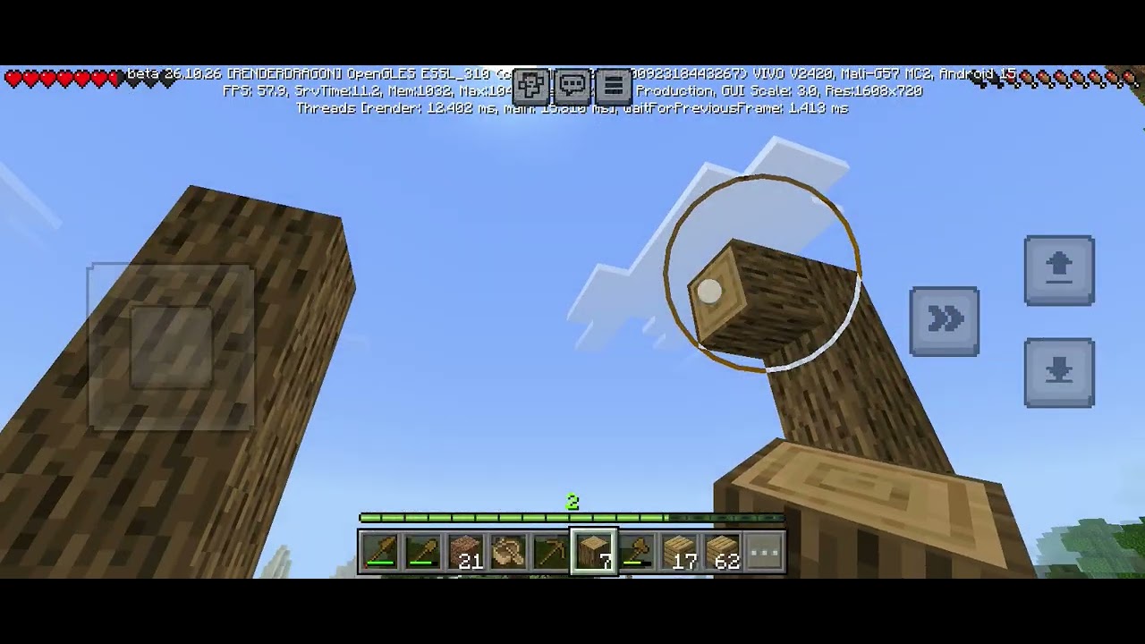 New World new house #2 