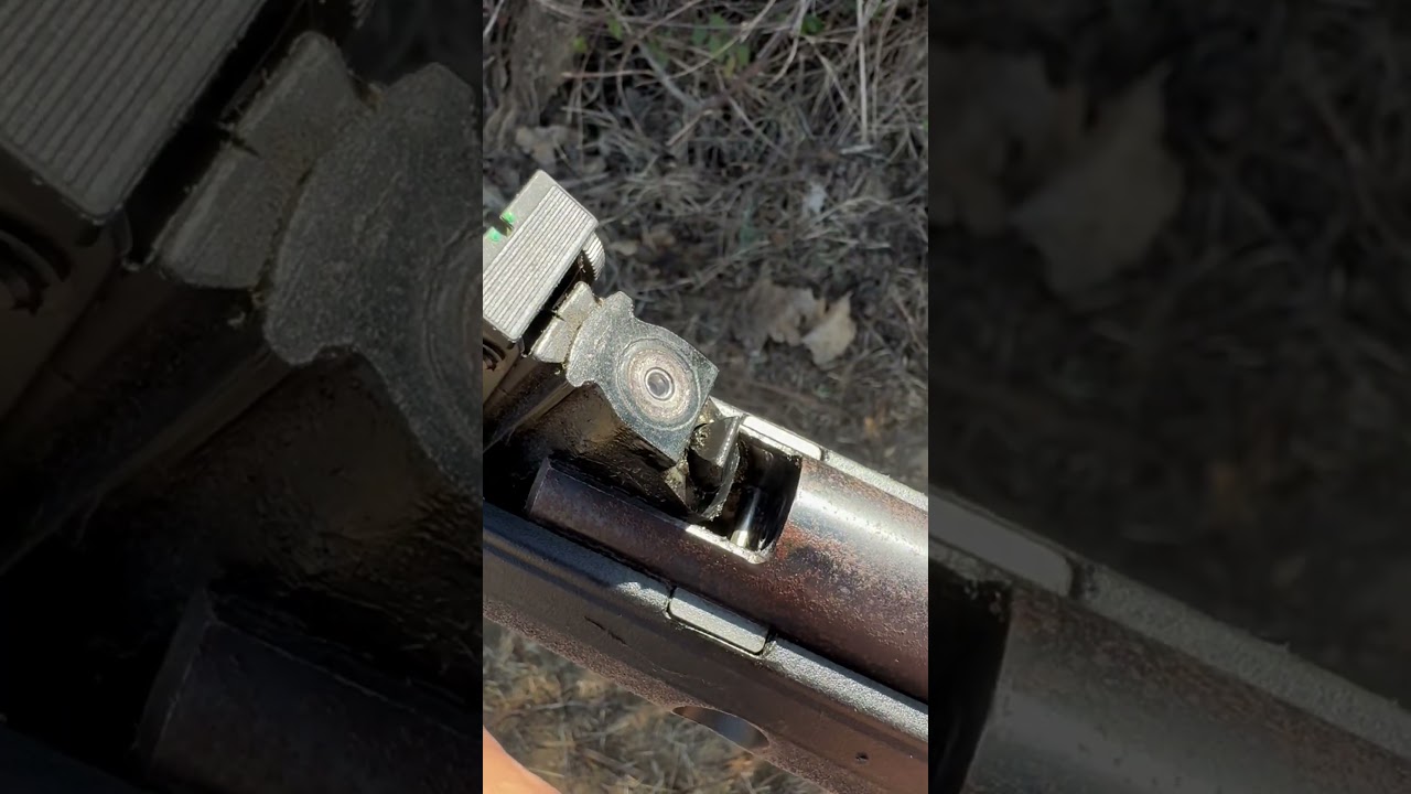 Amazing shoot by airgun birds trap 🔥 #airgun #airgunhunting #birdshunting