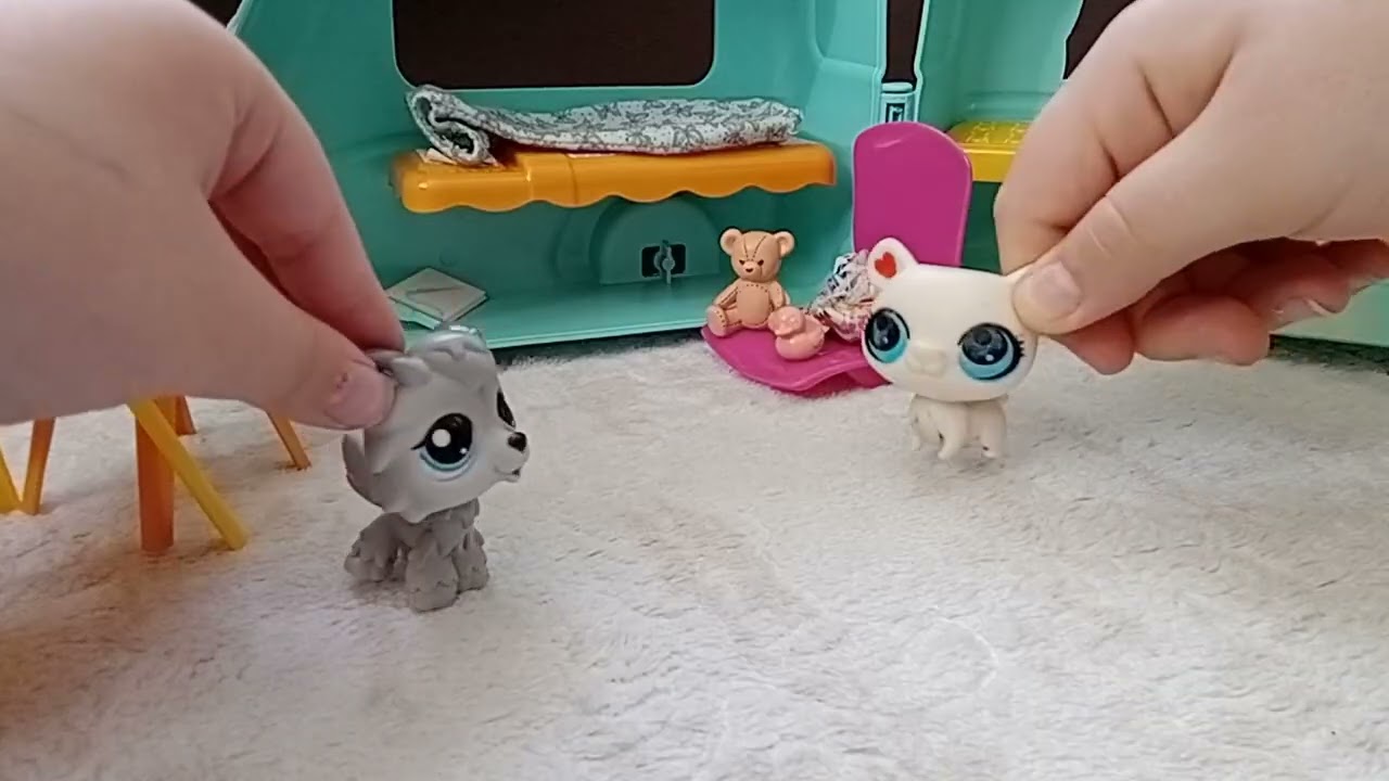 Miniklerin sıradan bir günü 