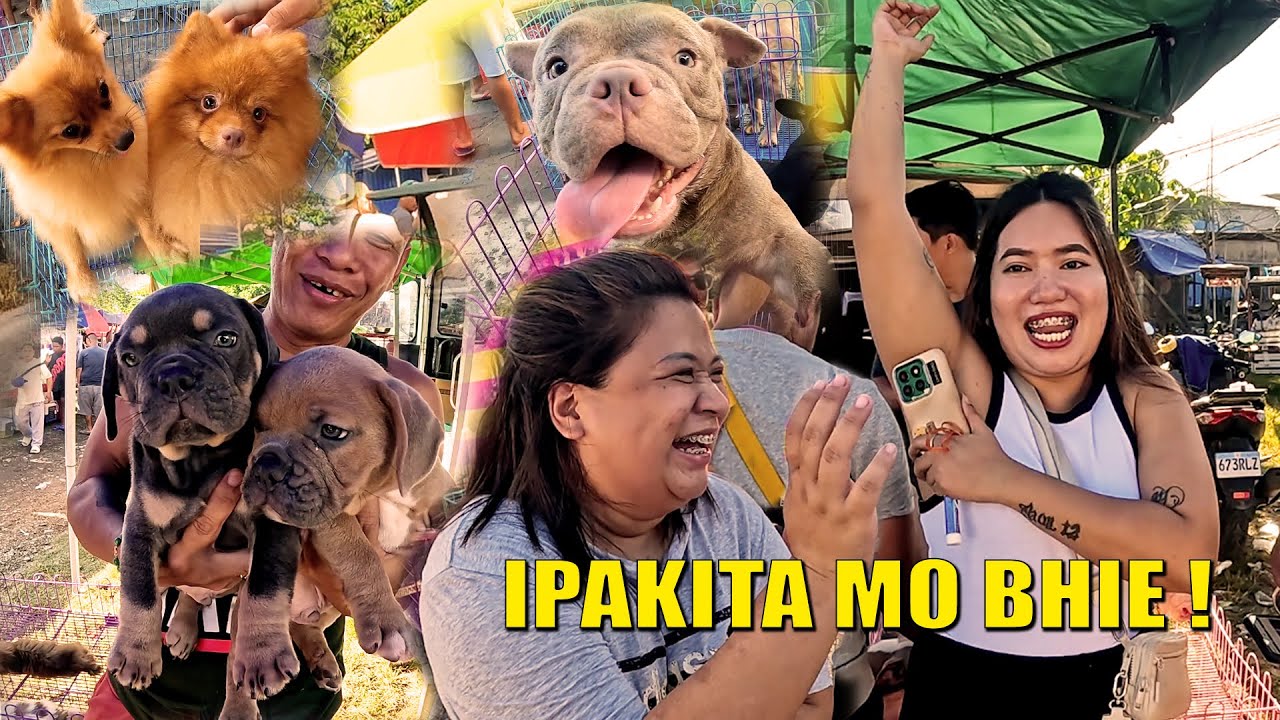 SA PAGPAPATULOY NG PET MARKET SA BOCAUE BULACAN