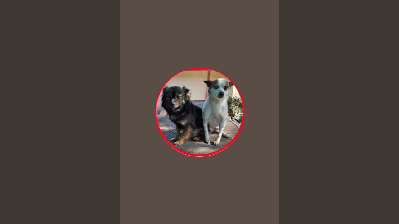 #독거노인 촌동네달리기