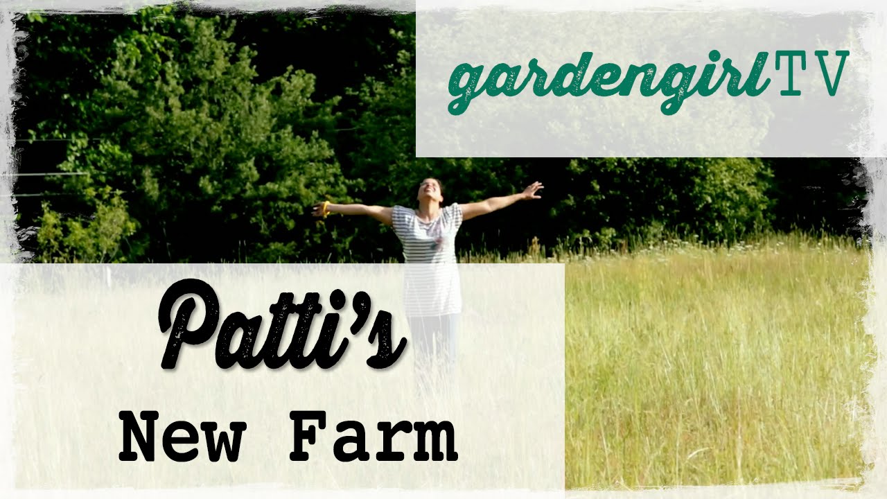 Patti's New Farm