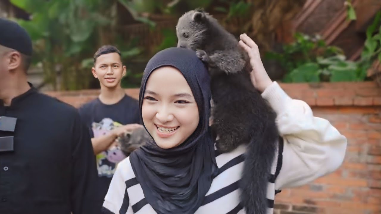 SHOLAWATAN BARENG MUSISI SHOLAWAT di deHakims AVIARY