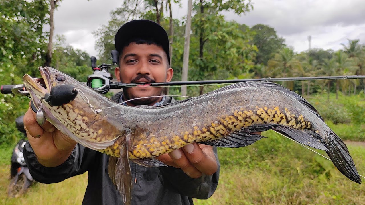 300₹ രൂപയ്ക്ക് Handmade frog... 😱😱 | Snakeheadfishing Videos | Village Fishing | Traditional Fishing