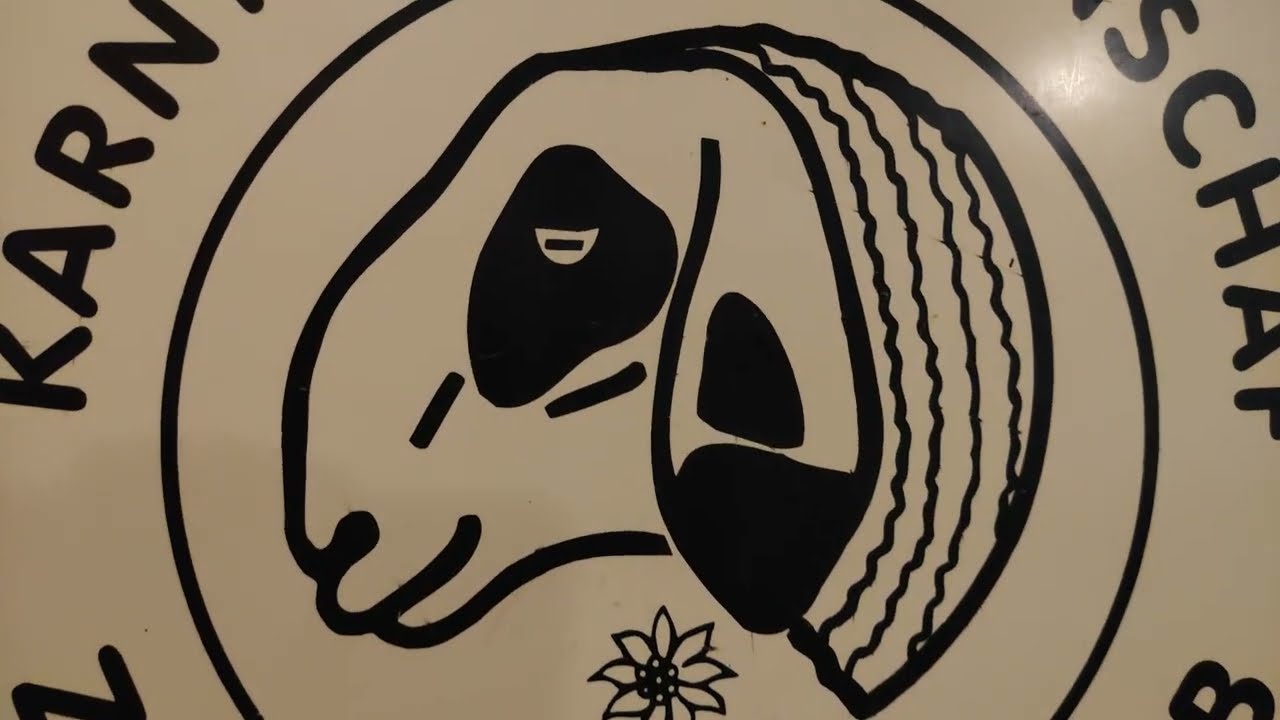 Bauernhaus K&auml;rntner Brillenschaf Tirolerhof Bauernhof Zoo Spaziergang Tiergarten Sch&ouml;nbrunn Wien