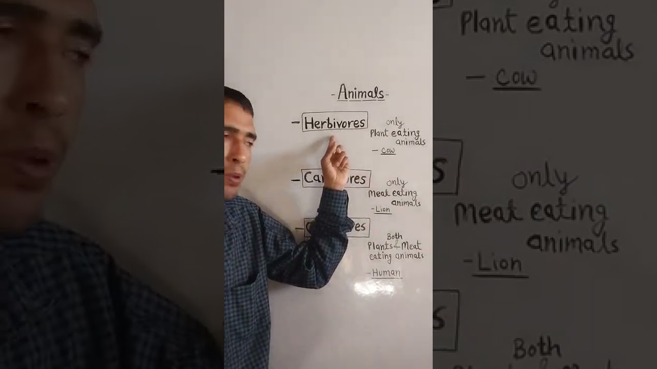 Animals/Herbivores/Carnivores/Omnivores