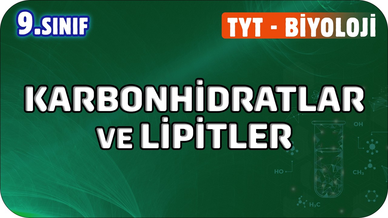 Karbohidratlar ve Lipitler | 9. Sınıf Biyoloji #2026