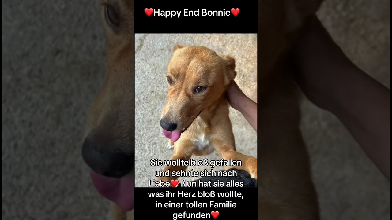 Happy End Bonnie❤️
