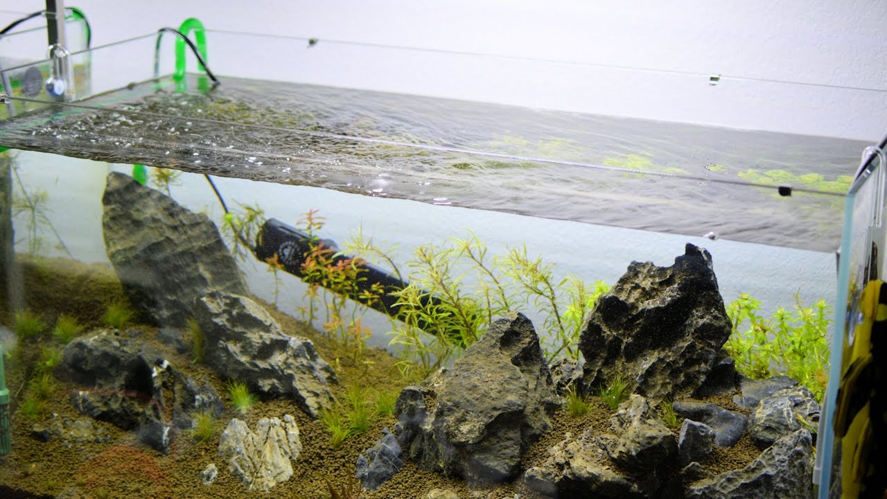 How to | Perform the World's Fastest Water Change for Your Aquarium 4K
