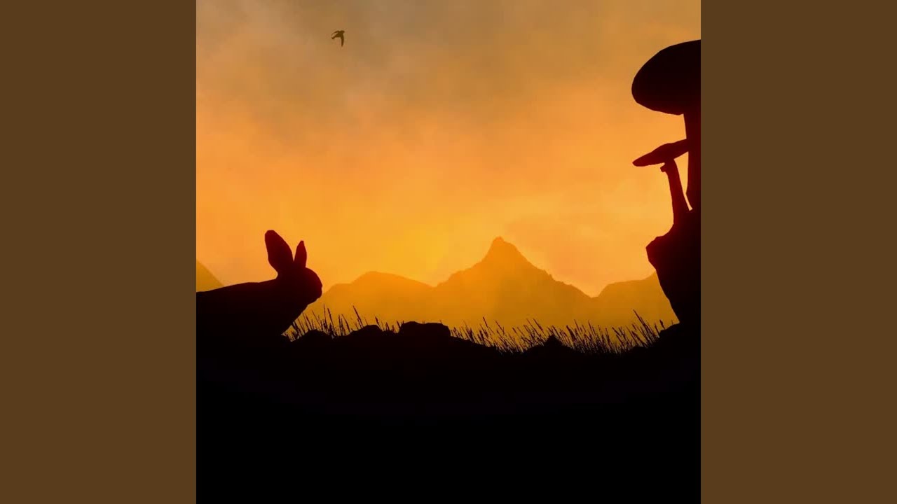 Rabbit Hole