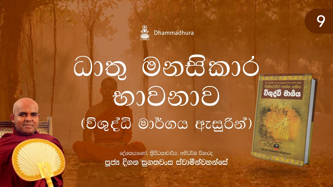 ධාතු මනසිකාර භාවනාව (විශුද්ධි මාර්ගය ඇසුරින්) 09 | Ven Digana Sugathawansa Thero