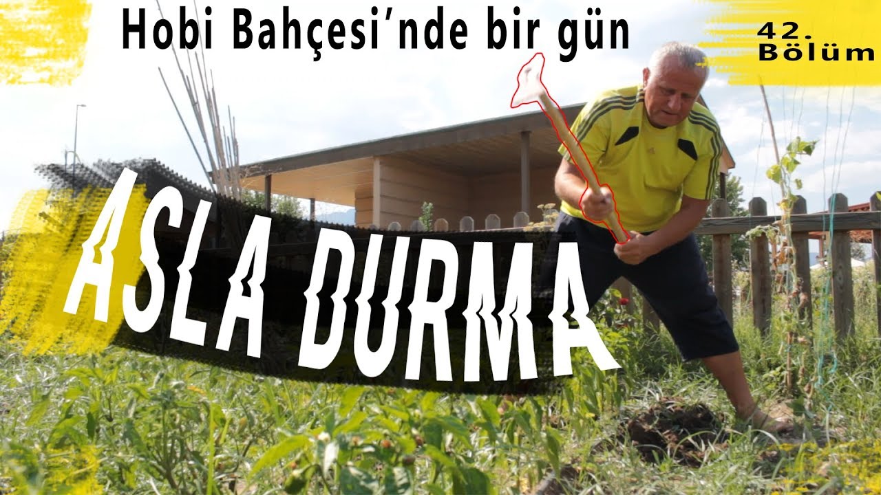 ASLA DURMA: ANTALYA HOBİ BAHÇESİ'NDE BİR GÜN/ 2 Teker Bir Hikaye - 42.Bölüm