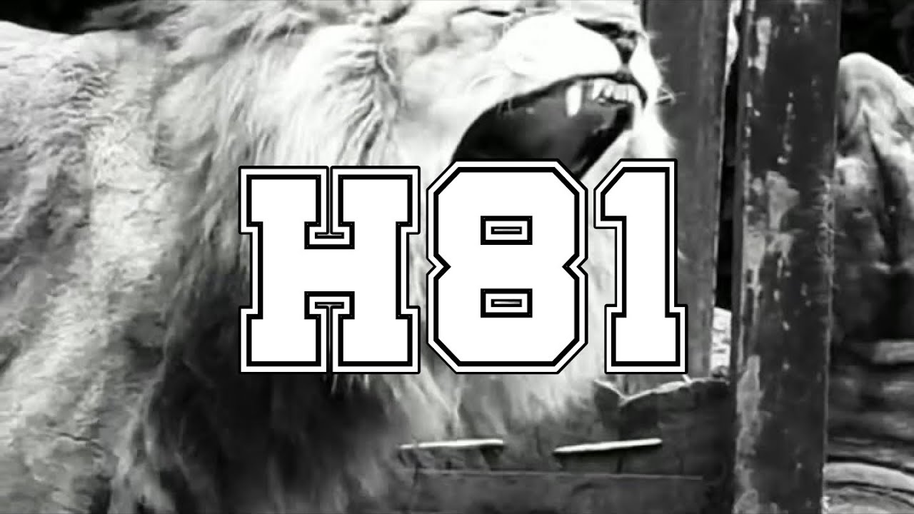 H81