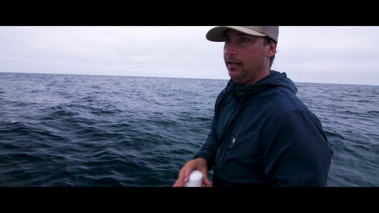 Mako- a quest for Giant Mako on the fly