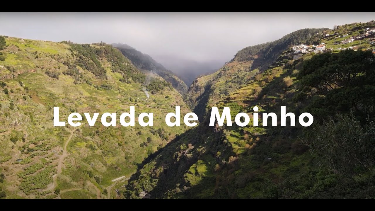 Levada do Moinho / Madeira