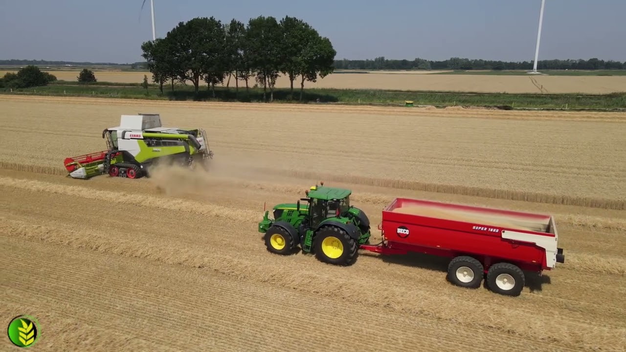 Wintertarwe combinen | Claas Lexion 5500 TerraTrac