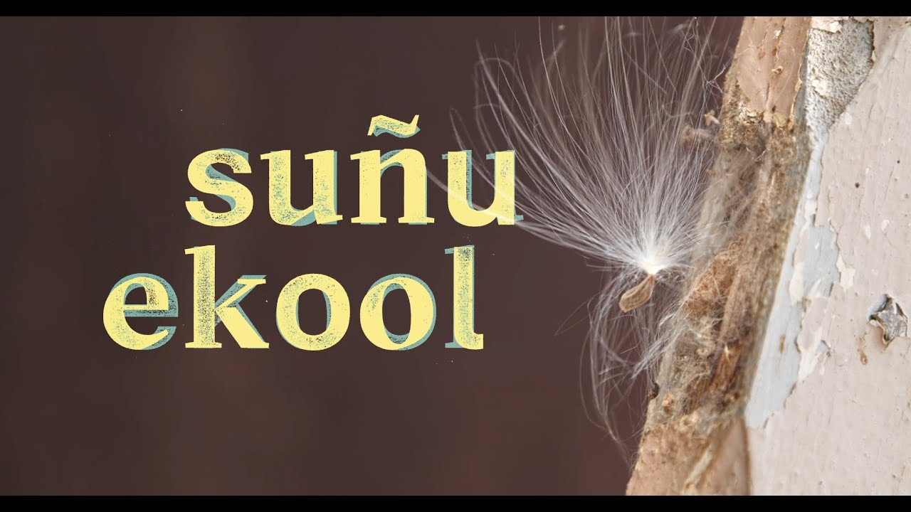 suñu ekool - Trailer