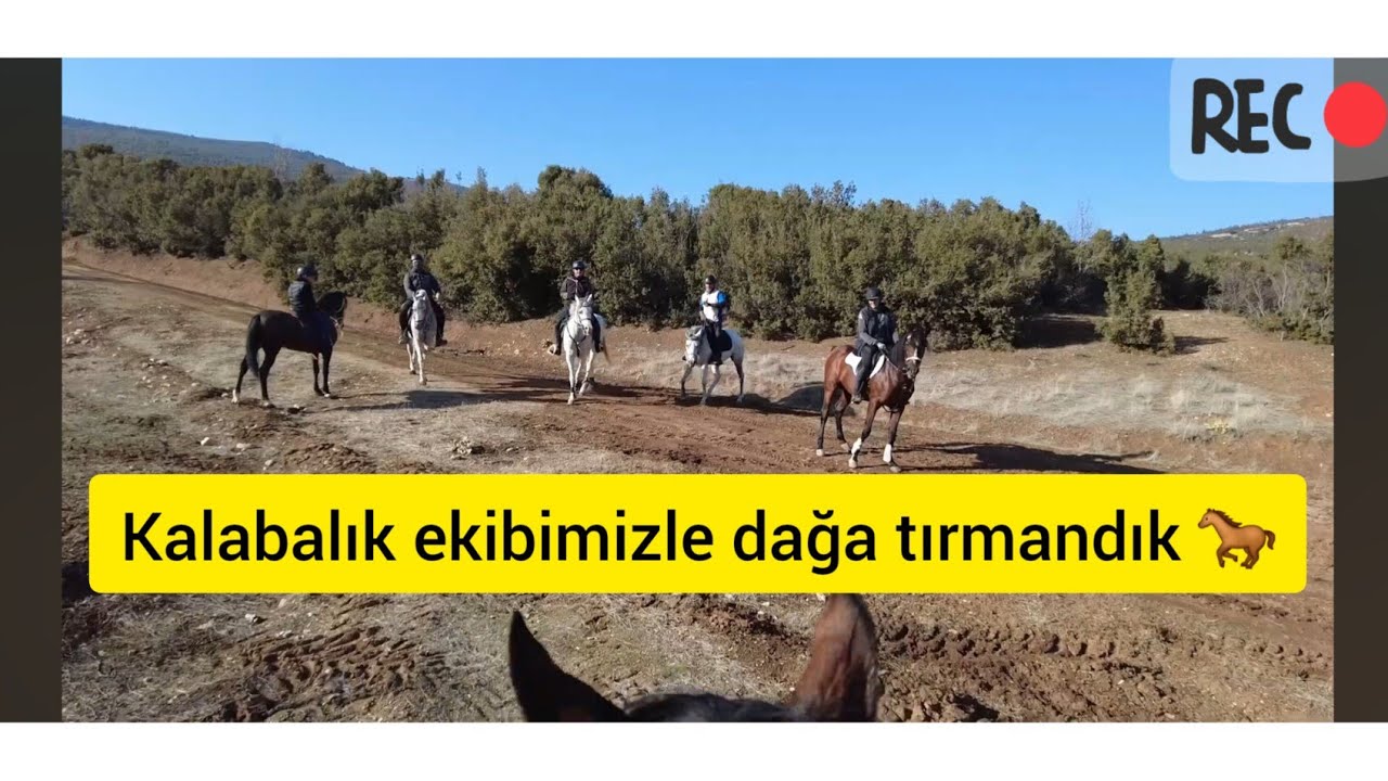 6 At dört nala karlı dağlara koştuk 🐎☃️
