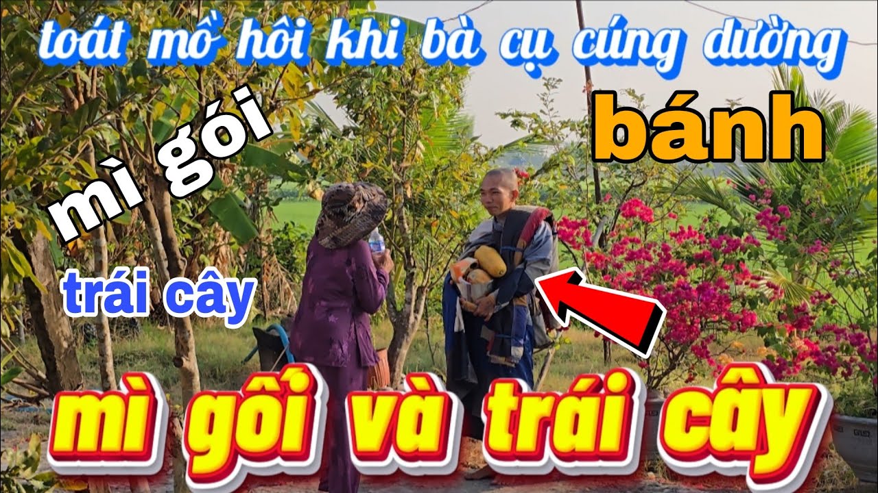 Sư Minh Không khất thực toát mồ hôi hột sau khi bà cụ cúng dường l mì gói bánh và trái cây tốt đẹp