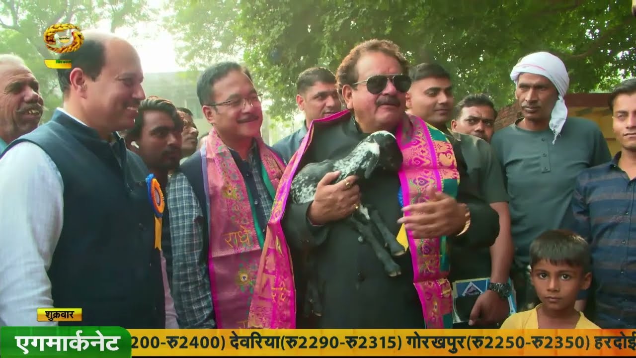 Safal Kisan   बकरी पालन अपनाएं कैसे मुनाफा पाएं   ICAR-CIRG