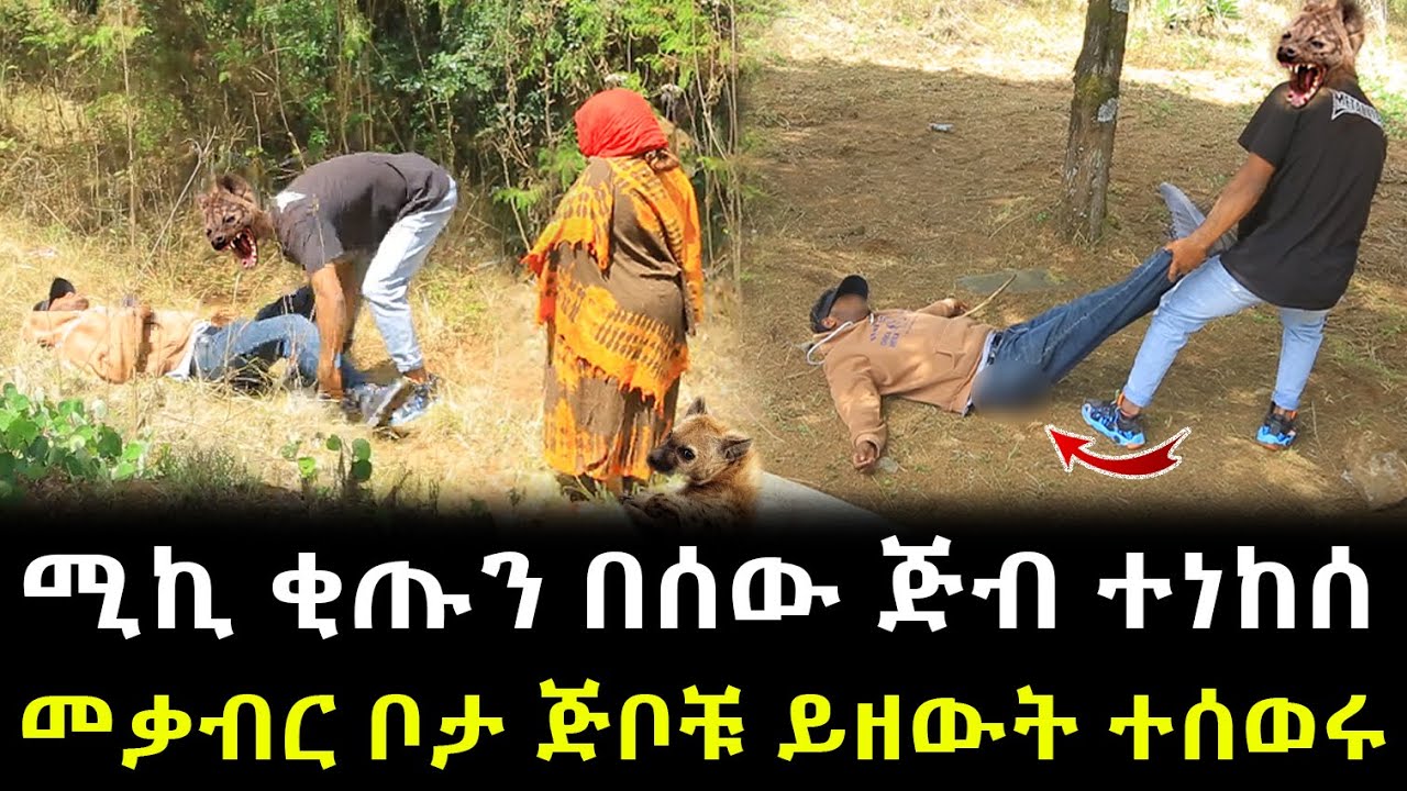አስደንጋጭ ነገር ተፈጠረ ። ሚኪ በጅቦች ተነክሶ ደብዛው ጠፋ !!