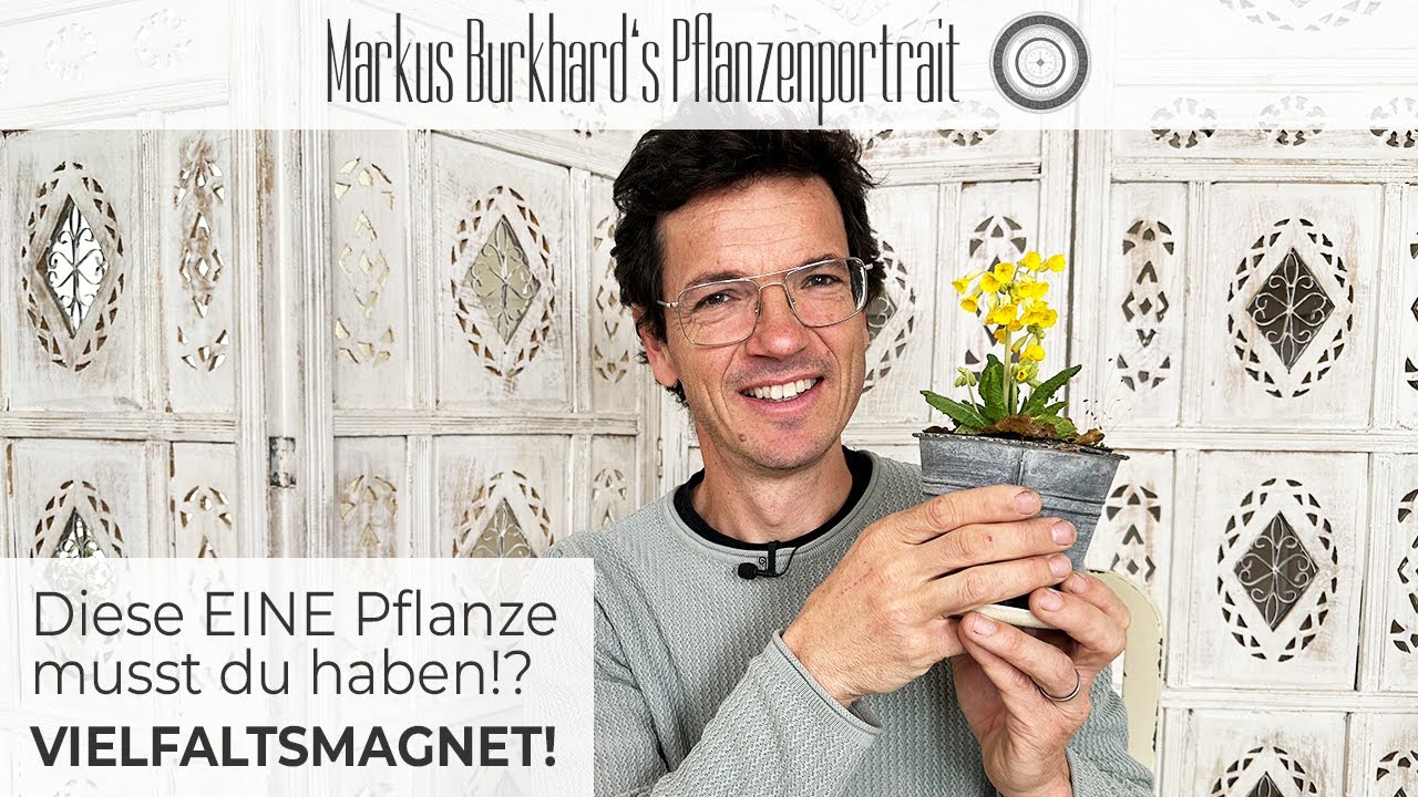 DIESE PFLANZE MUSST DU HABEN !!!