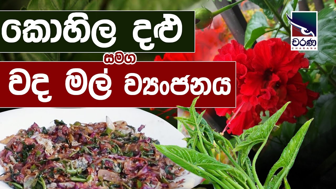කොහිල දළු සමග වද මල්  ව්‍යංජනය