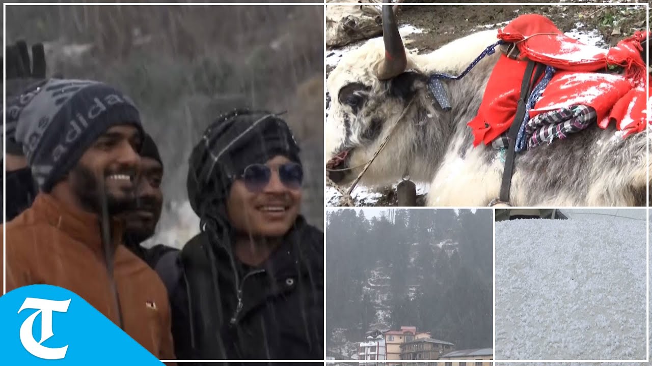 Himachal Pradesh: Fresh snowfall enthralls tourists in Shimla