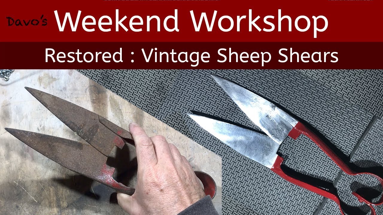 Restore Vintage Sheep Shears