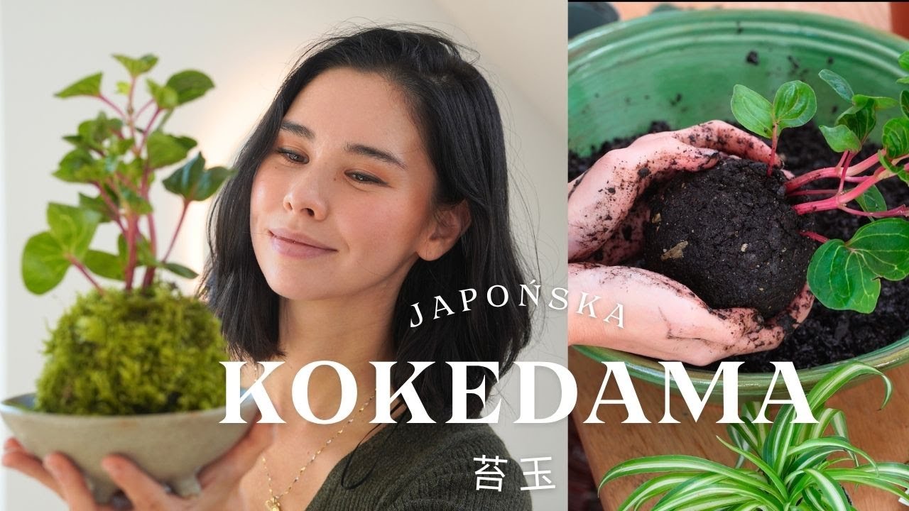 KOKEDAMA - JAPOŃSKA SZTUKA UPRAWY ROŚLIN BEZ DONICZKI
