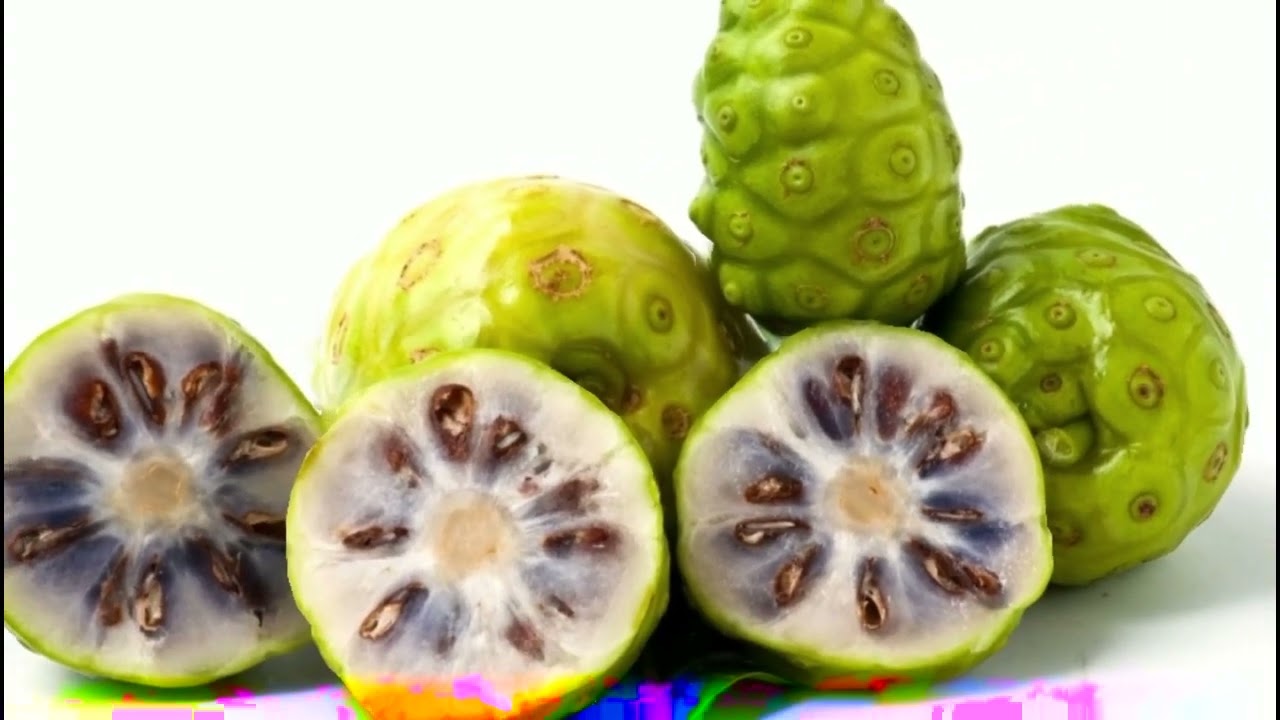Le Nono  Le Fruit aux Pouvoirs Mystérieux #fruit #motivation #vlog #books #youtube #youtubeshorts