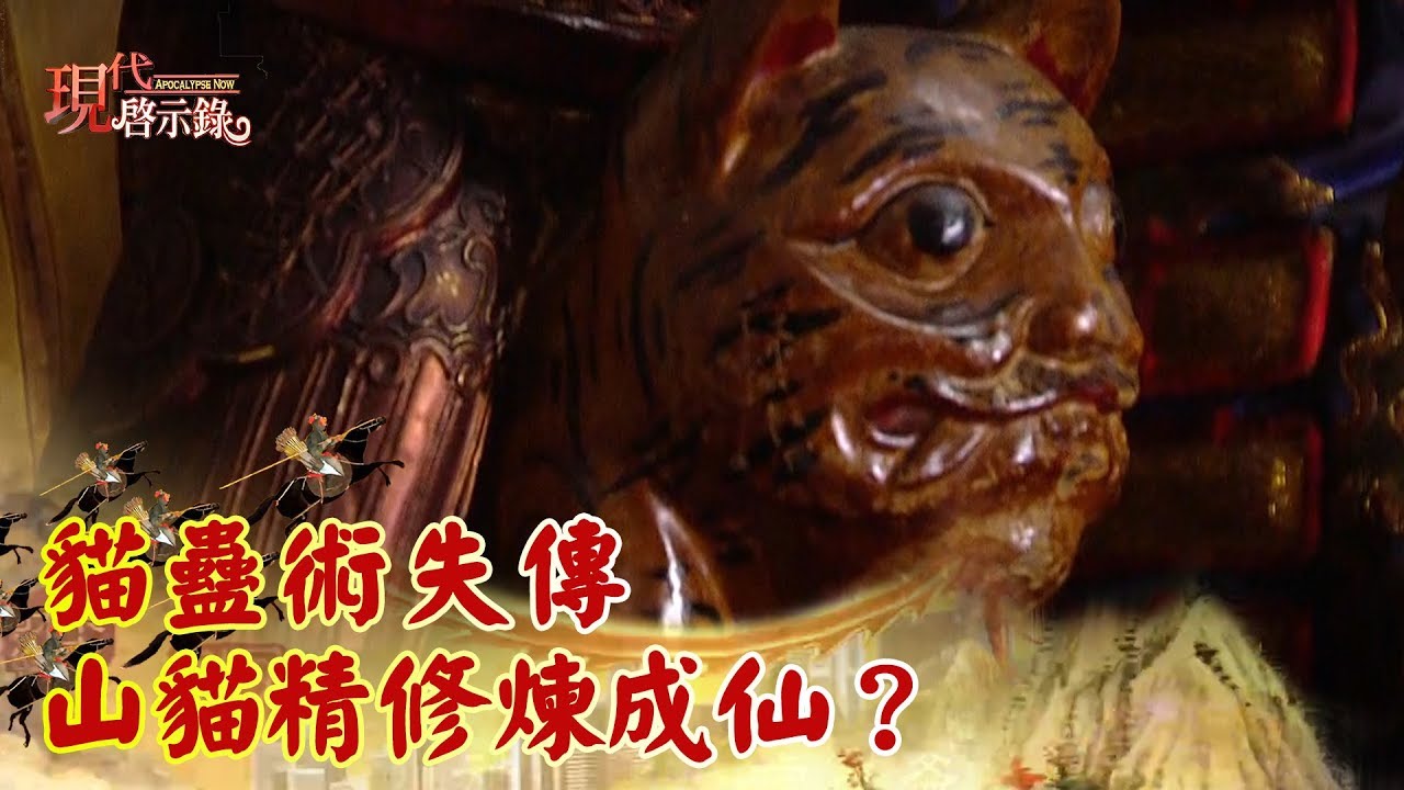 貓蠱術失傳 山貓精修煉成仙？《現代啟示錄精華》