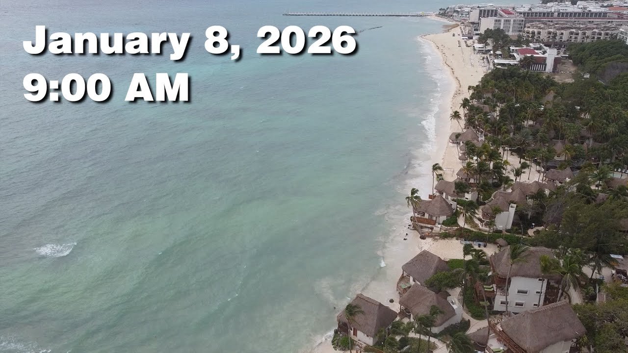 Daily Sargassum Sargasso Seaweed Report at Playa del Carmen, Mexico - January 8, 2026 #sargassum