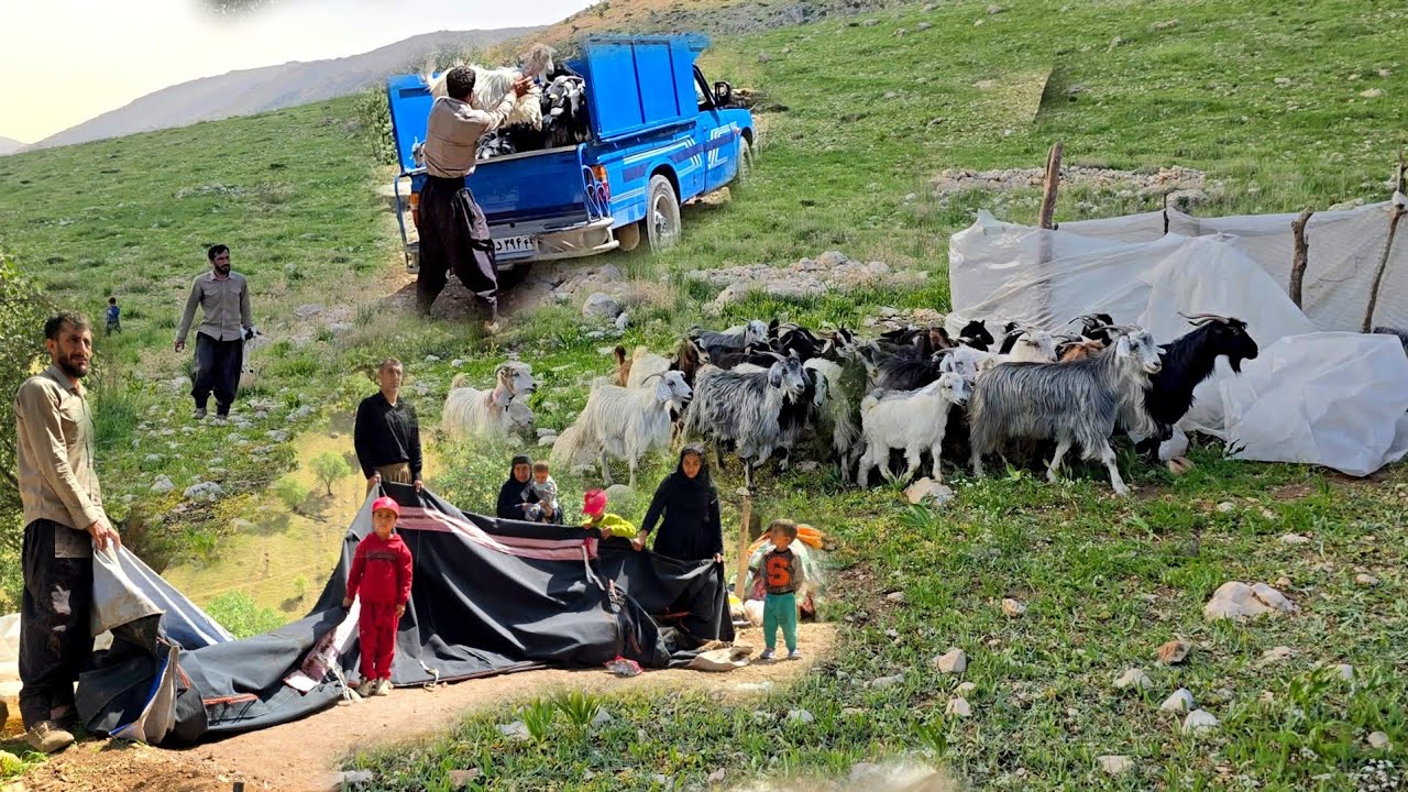 Nomadic Life: Building a Shelter for Goats | Tent Living in Cold Regions 🐐🏕️❄️