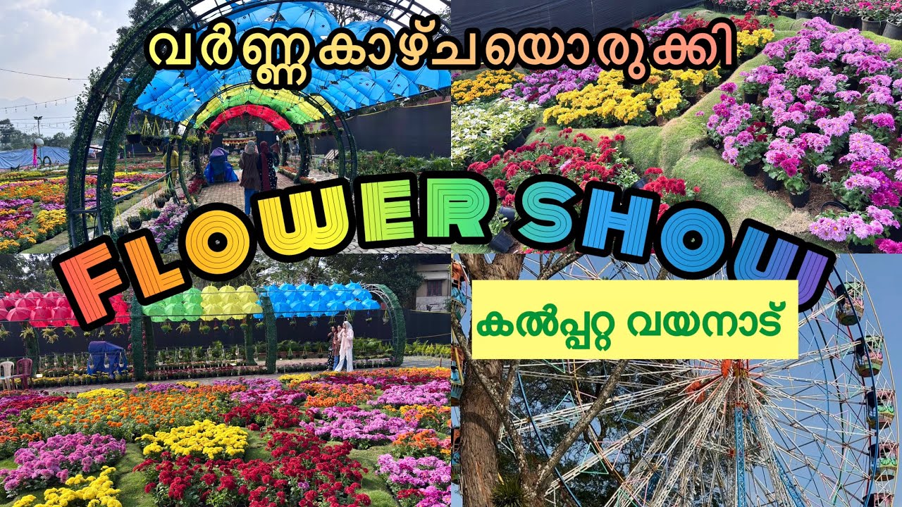 വയനാട് 🌺 ഫ്ലവർ ഷോ|flower show wayanad kalpeta 