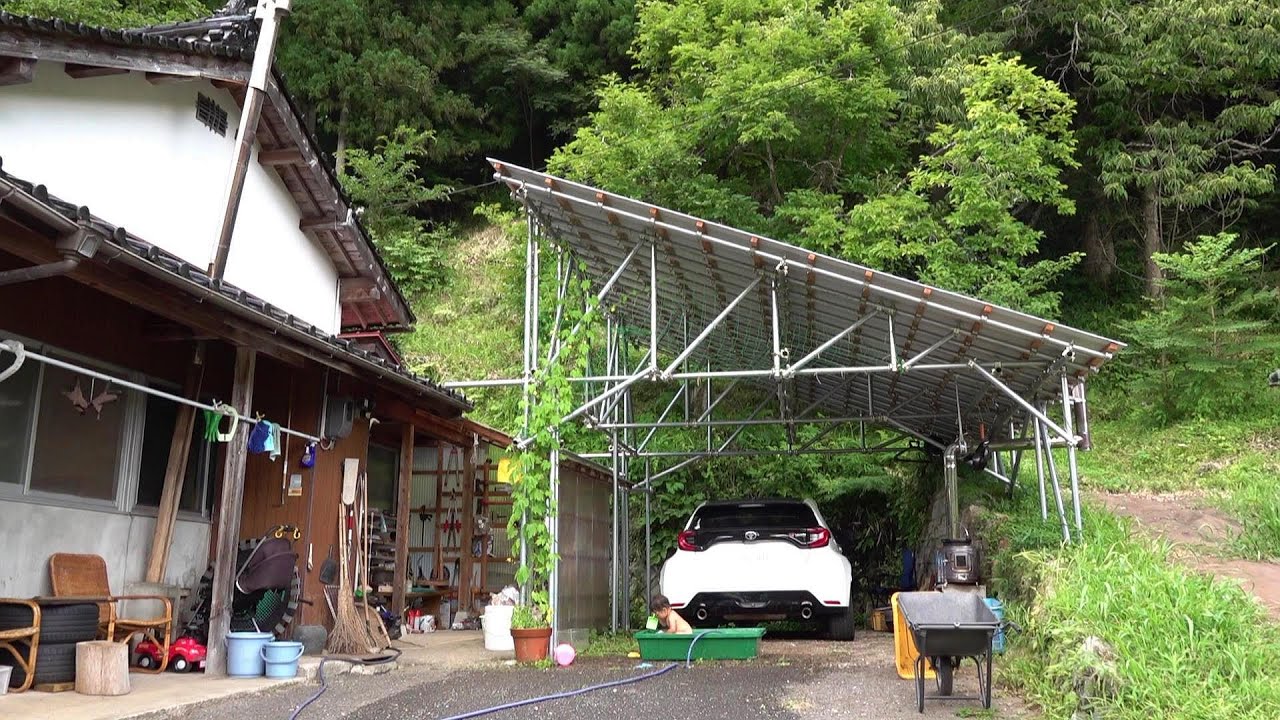 家庭菜園と真夏の方程式