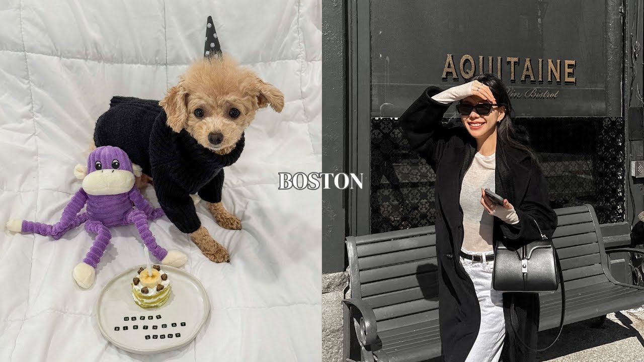 Daily routine, what I actually eat at home | My dog's birthday