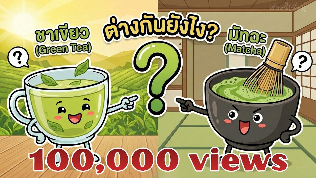 มัทฉะ กับ ชาเขียว ต่างกันยังไง? ข้อแตกต่างที่คนดื่มชาเข้าใจผิดมาตลอด | เรื่องนี้(พึ่ง)รู้