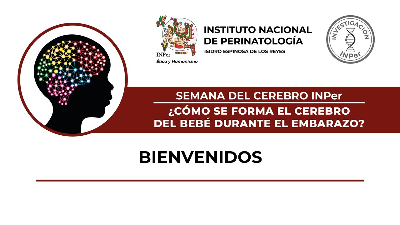 SEMANA DEL CEREBRO 2024