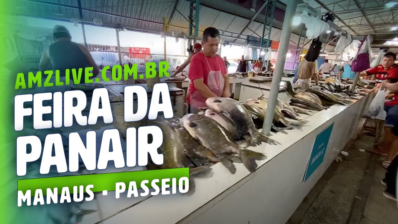 Live curta Feira da Panair