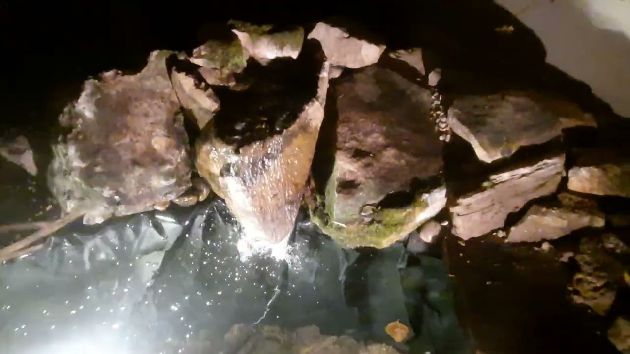 The Oasis in our back yard. Come schedule a retreat with us. 